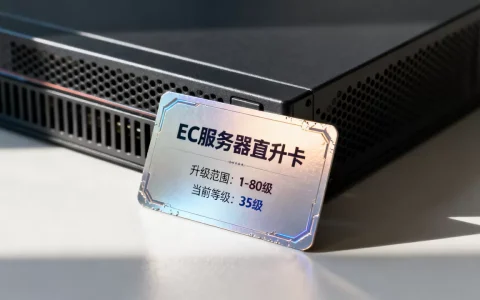 EC服务器直升卡能升多少级，升级上限是多少？