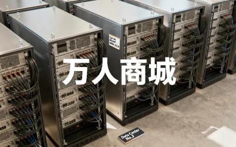 万人商城服务器多少钱