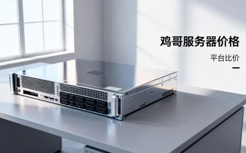 鸡哥服务器一台要多少钱，哪个平台买更便宜？