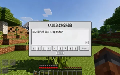 我的世界ec服务器怎么卡操作员bug？,操作员指令是什么