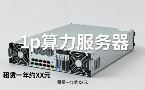 1p算力服务器多少钱一台？,租赁一年需要多少