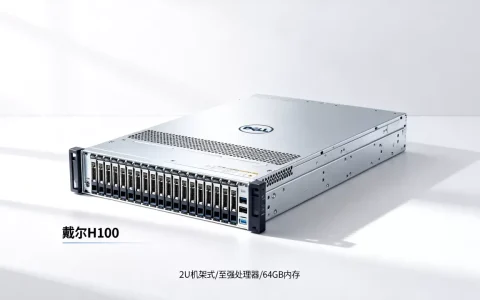 戴尔H100服务器多少钱一台，性价比如何