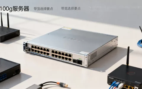100g的服务器能支持多少人访问，带宽怎么选？