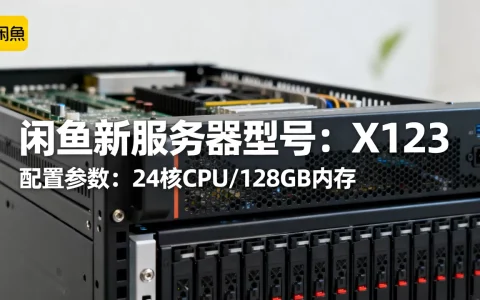 闲鱼有哪些新服务器