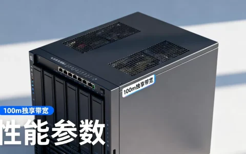 100m独享带宽服务器多少钱一台，哪家性价比高？