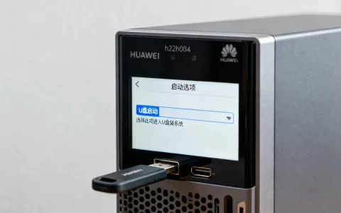 华为h22h003服务器怎么设置U盘启动，U盘装系统步骤？
