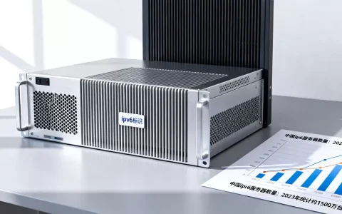 中国ipv6服务器有多少个，权威数据在哪查询？