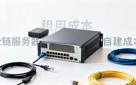 公链服务器一般多少钱，租用还是自建划算？