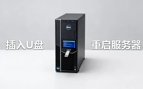 戴尔服务器设置从U盘启动为何失败，怎么办？