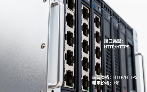 服务器端口收费标准是什么？,租用价格多少一年