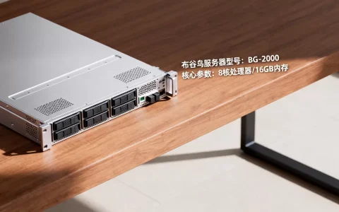 布谷鸟服务器都有哪些？,布谷鸟服务器怎么选