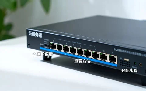 酷番云服务器有几个公网IP？，如何查看和分配公网IP地址？