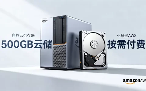 亚马逊云服务器500g多少钱，怎么收费？
