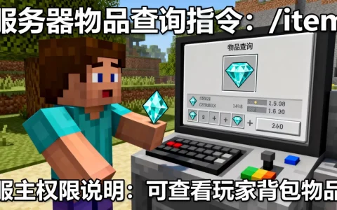 MC服主能看到玩家钻石吗，我的世界服务器查询物品指令