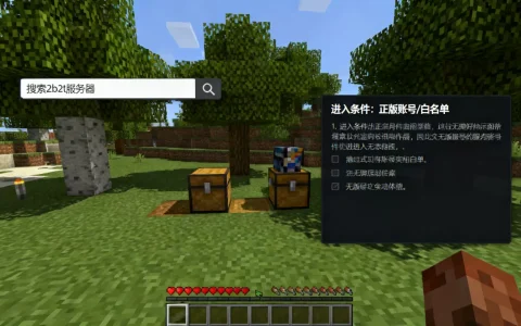 我的世界2b2t服务器如何搜索,进入2b2t需要什么条件
