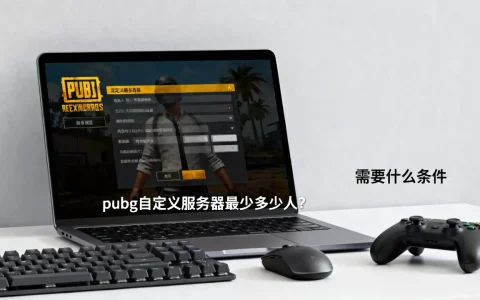 pubg自定义服务器最少多少人？,需要什么条件