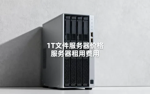 1T文件服务器价格是多少，服务器租用费用高吗？