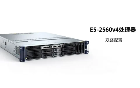 e5双路服务器多少钱