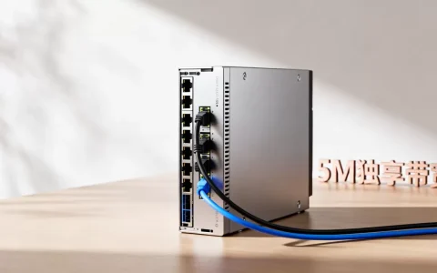 服务器的5M独享带宽到底有多大？，够用吗？