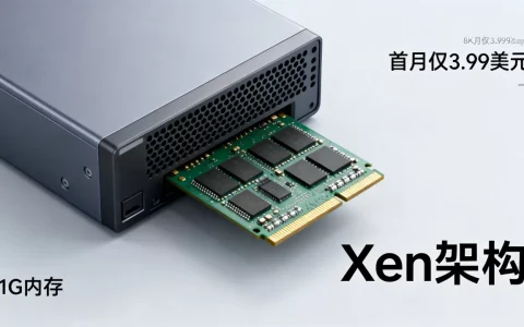 Xen架构1G内存VPS首月仅3.99美元？性价比怎么样