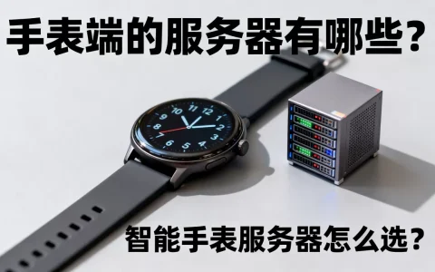 手表端的服务器有哪些？,智能手表服务器怎么选？