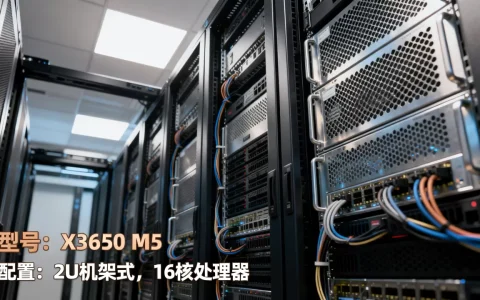 租一套服务器大概需要多少钱呢，价格贵不贵
