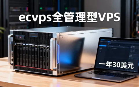 ecvps全管理型VPS一年30美元靠谱吗，怎么样
