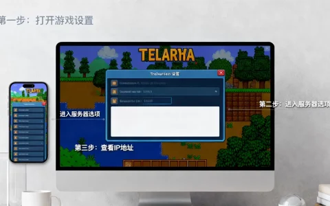 泰拉瑞亚如何查看自己服务器IP？,服务器IP查询方法