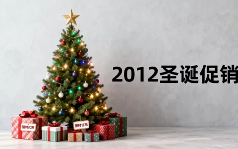 hostigation 2012圣诞促销