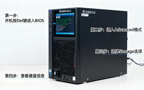 浪潮服务器5466m5怎么在bios查看硬盘，步骤是什么？