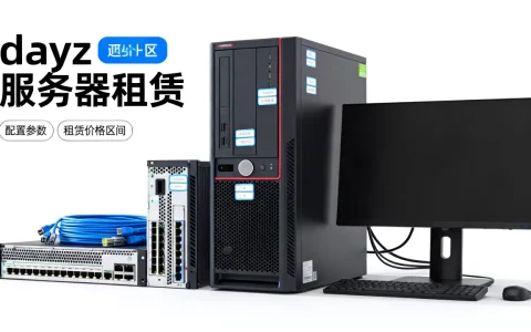 dayz租一个服务器要多少钱，价格贵不贵