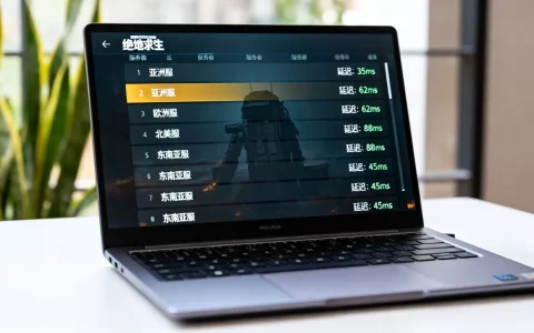 steam绝地求生有哪些服务器，哪个区服延迟最低？
