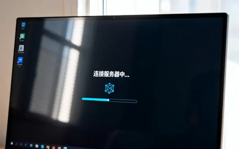 为什么roblox进的时候一直卡在服务器，是什么原因？