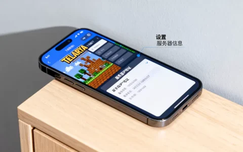 泰拉瑞亚手机怎么查看服务器IP地址，如何获取服务器IP？