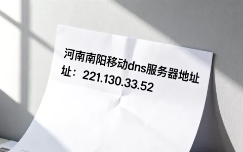 河南南阳移动dns的服务器地址是多少