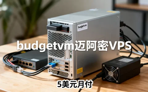 budgetvm迈阿密VPS怎么样？5美元月付值不值？
