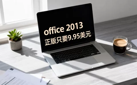 office 2013正版只要9.95美元