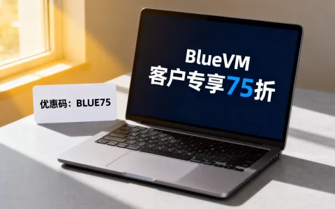 BlueVM失去的客户能享75折吗，优惠码怎么领