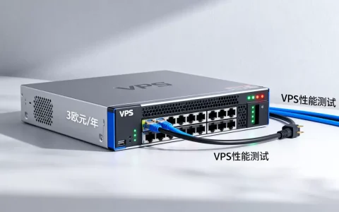lowendspirit3欧元/年VPS靠谱吗？，性能如何？