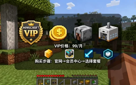 我的世界服务器VIP要多少钱，怎么买划算？