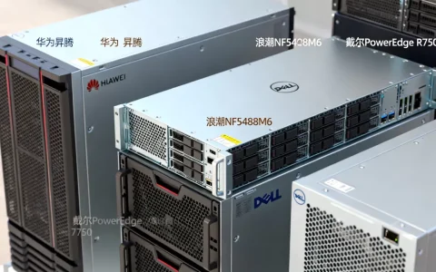 大模型的服务器有哪些？，哪个牌子性价比最高？