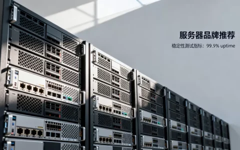 哪些服务器有秩序？,服务器哪个牌子好用稳定