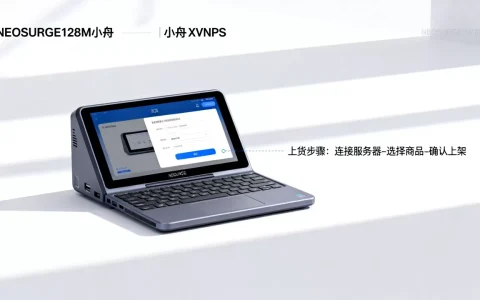 NEOSURGE128M小内存XENVPS怎么上货，性能如何？
