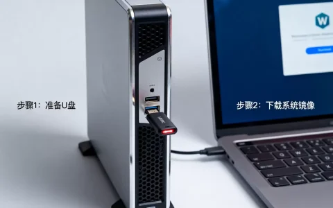 如何用U盘安装服务器系统？下载软件步骤是什么