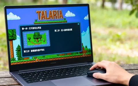 泰拉瑞亚怎么查看自己的服务器IP？，具体操作步骤是什么