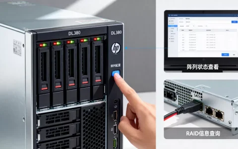 HP服务器DL380怎么看有没有阵列？怎么查RAID信息？