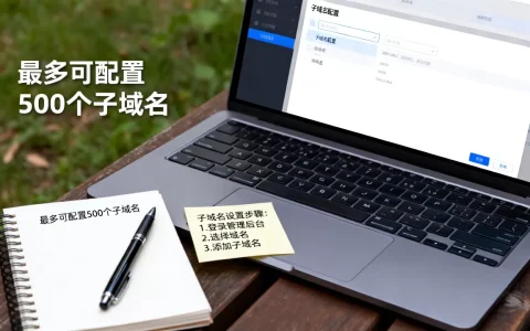 一个域名到底能配多少个子域名？怎么设置？