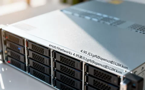 enotchnetworks 4.95美元1g内存openvz或512M kvm
