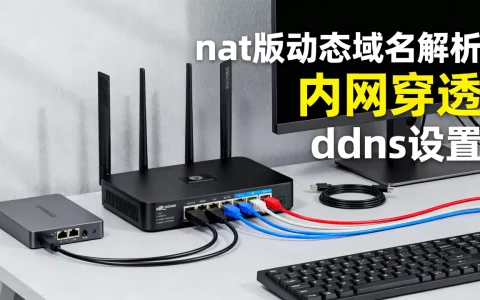 nat版动态域名解析怎么做内网穿透，什么是ddns设置？
