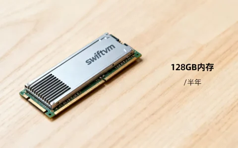swiftvm 128内存6美元半年能用吗，性价比高吗？